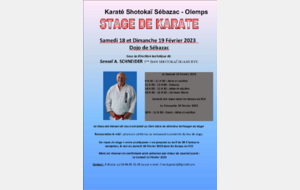 Stage Karaté Shotokaï sous la direction technique de Senseï A. SCHNEIDER le 18 et 19 février 2023 à Sébazac